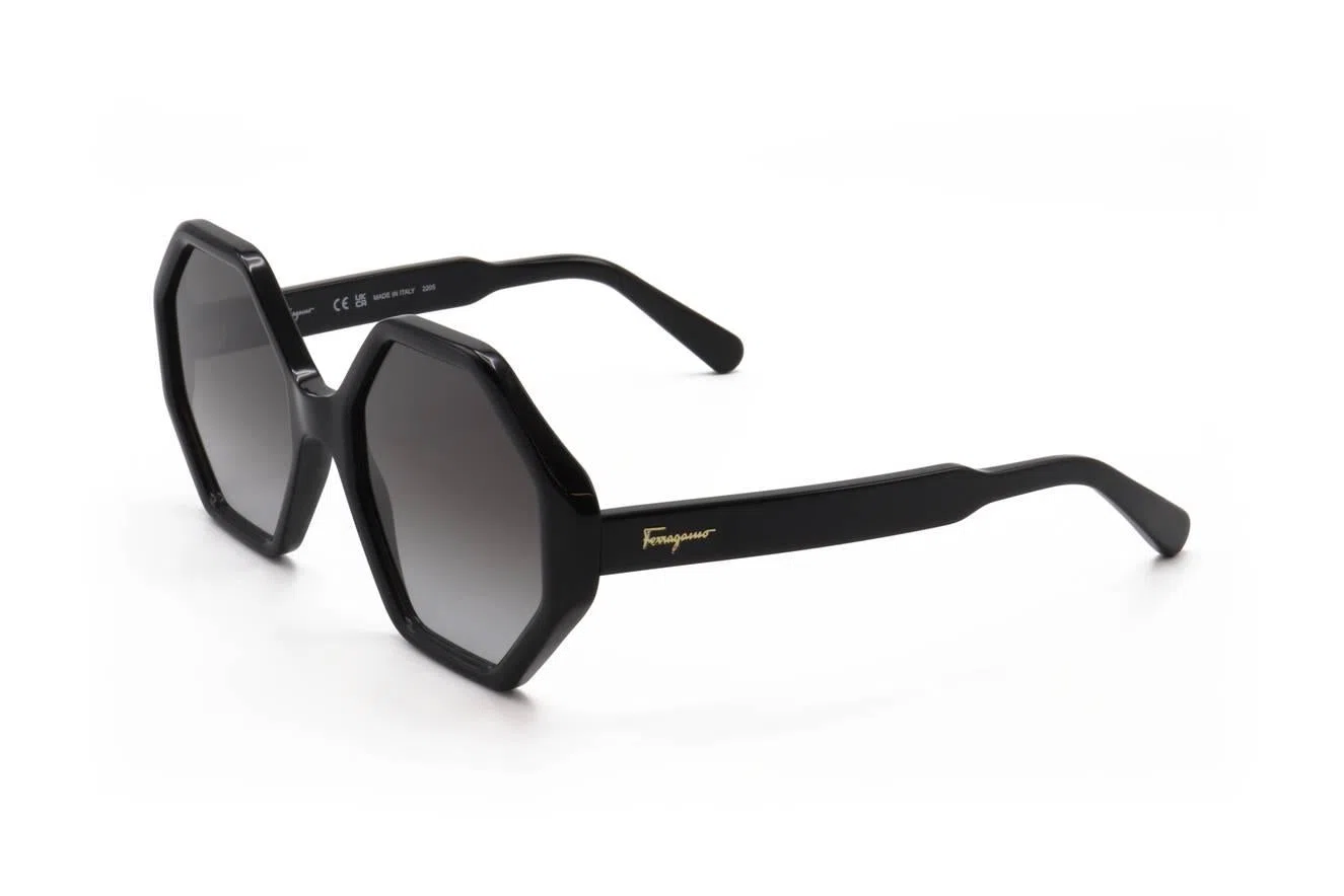 Ferragamo SF1070S Sunglasses - view 3